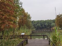 -梁鸿国家湿地公园