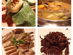 -开心农场温泉度假村