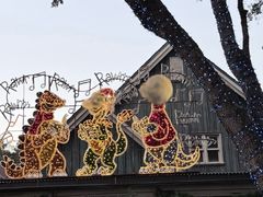 -奥兰多迪士尼动物王国乐园