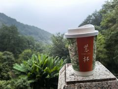 -韬光茶庵