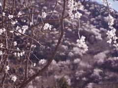 -妙峰山风景名胜区