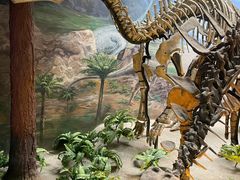 -延庆地质公园博物馆