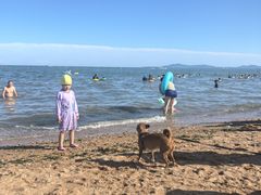 -兴城海滨风景区