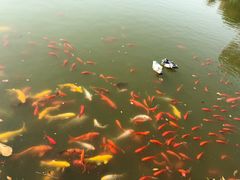 -嬉乐湾休闲旅游区