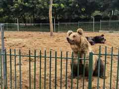 -秦皇岛野生动物园