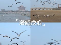 -长岛南北长山旅游景区