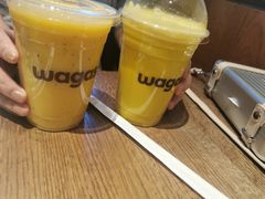 -Wagas沃歌斯(富力广场店)