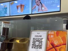 -雾与山茶(大禹城店)
