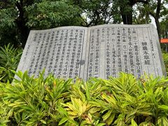 -广东中医药博物馆