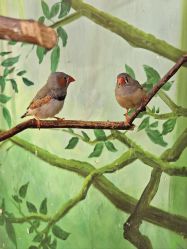 -Zoolung Zoolung动物主题公园(海信广场店)