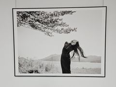 -升达艺术馆