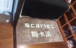 -scarlet斯卡莱美容护理机构