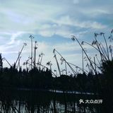 小草说，只要心向阳光，迎着夕阳，尽情欢笑