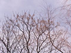 -梁鸿国家湿地公园