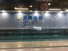 -蓝鲸国际少儿游泳训练中心(群力店)