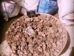 -大象粑粑造纸公园