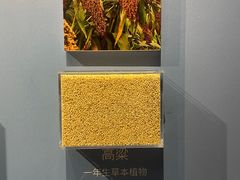 -大连金州博物馆