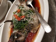 -大树头·花园餐厅(市桥店)