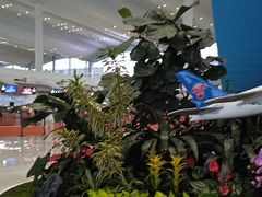 -广州白云国际机场-T2航站楼