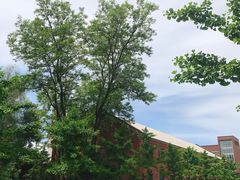 -东北大学(南湖校区)