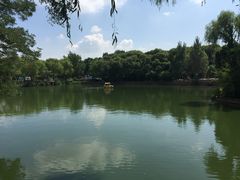 景点-沈阳植物园