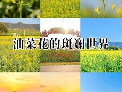 -光明小镇欢乐田园