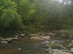 -石台牯牛降景区