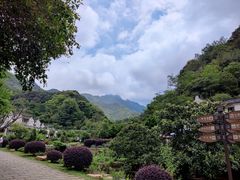-雁南飞茶田景区