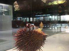 -青岛贝壳博物馆