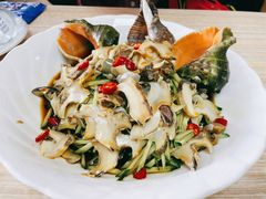 捞汁海螺片-叶存利海鲜大馅饺子(海宁路总店)