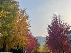 -辽宁大学(崇山校区)