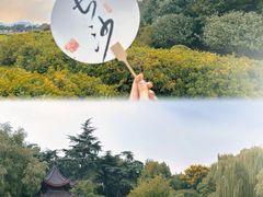-橘子洲景区