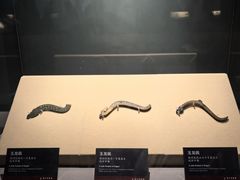 -荆州博物馆