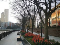 -苏州河梦清园环保主题公园