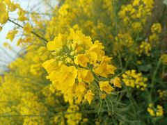 -中国天府农业博览园