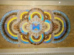 -上海昆虫博物馆