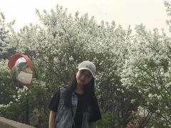 -木兰云雾山