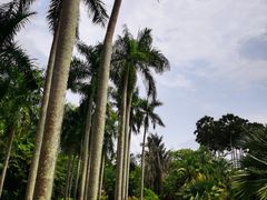 -中国科学院西双版纳热带植物园