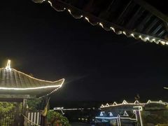 -呀路古热带植物园