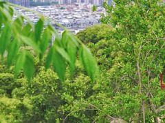 -乌山风景区