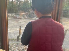 -上海野生动物园老虎餐厅