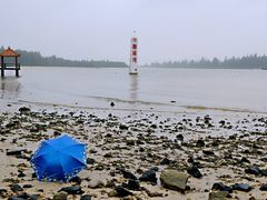 -东郊椰林