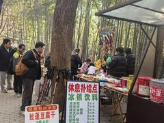 -宝岩生态观光园