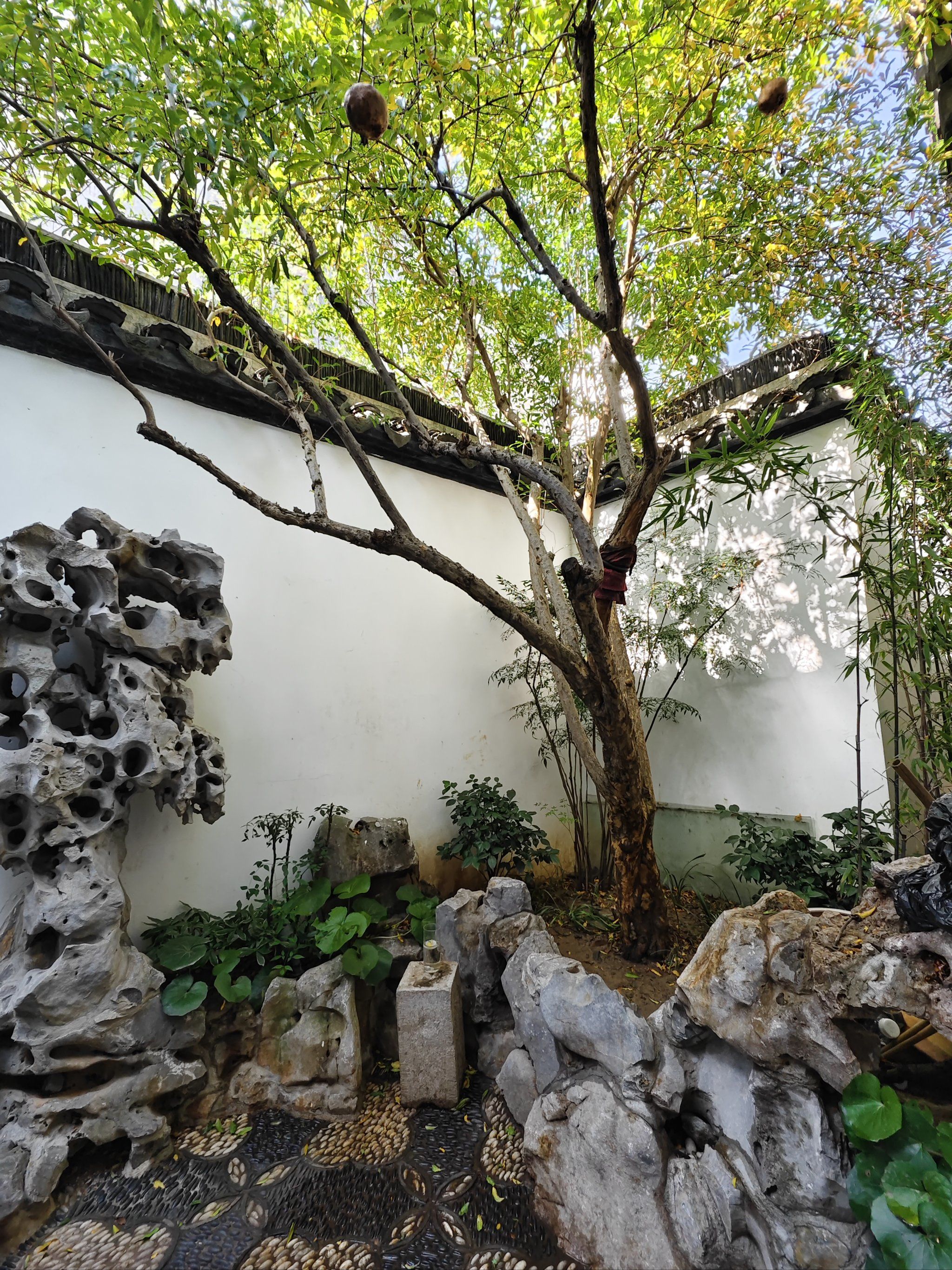 江南庭院,感受一份超脱尘世的宁静与美好