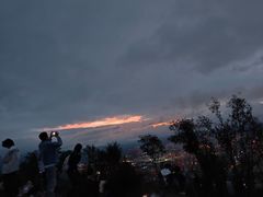 -长虫山生态公园风景林