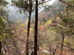 -北京上方山国家森林公园