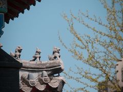 -长安寺