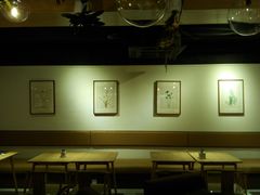 android_upload_pic-柴务处·柴犬主题狗咖