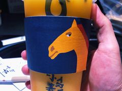 -春丽小马(济南恒隆广场店)