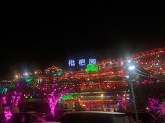 -枇杷园食为鲜火锅(南山店)
